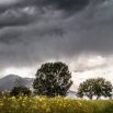cropped-field-thunderstorm-rainy-meadow.jpg